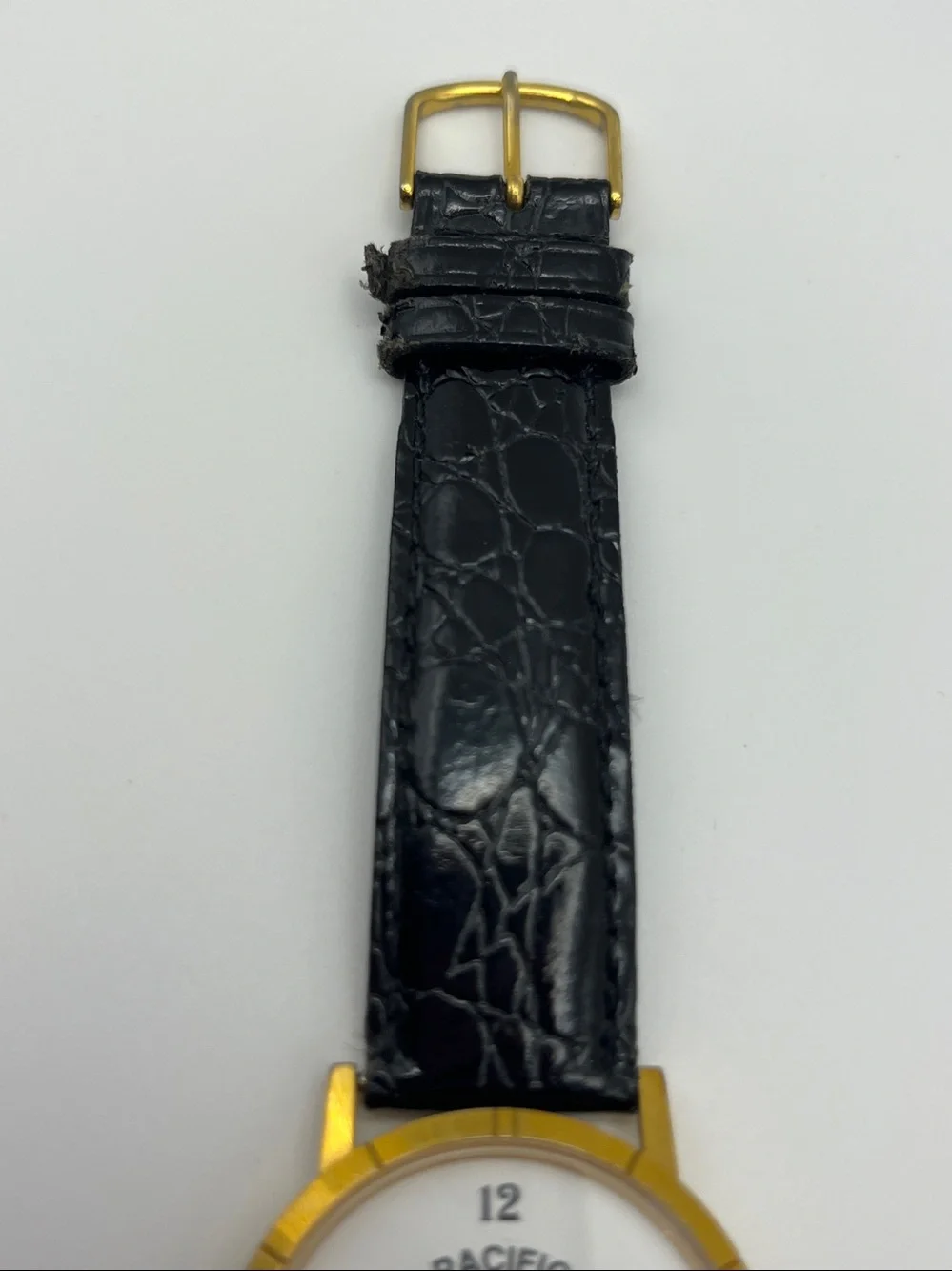 Men's Pacific Pride Gold Case Black Leather Strap Watch
